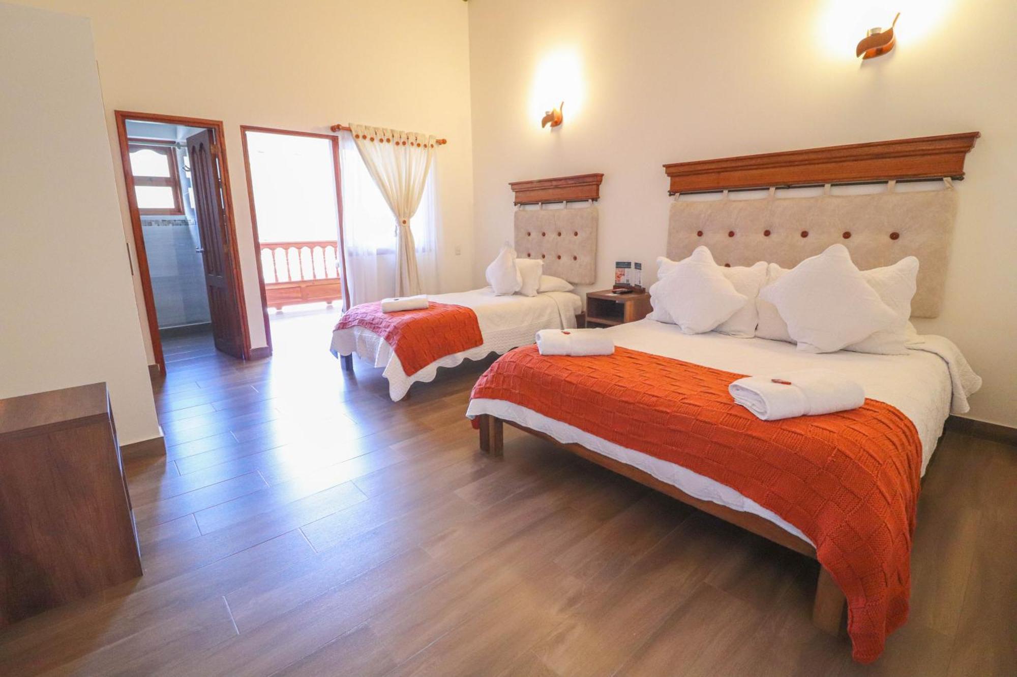 Palmas Villa de Leyva
