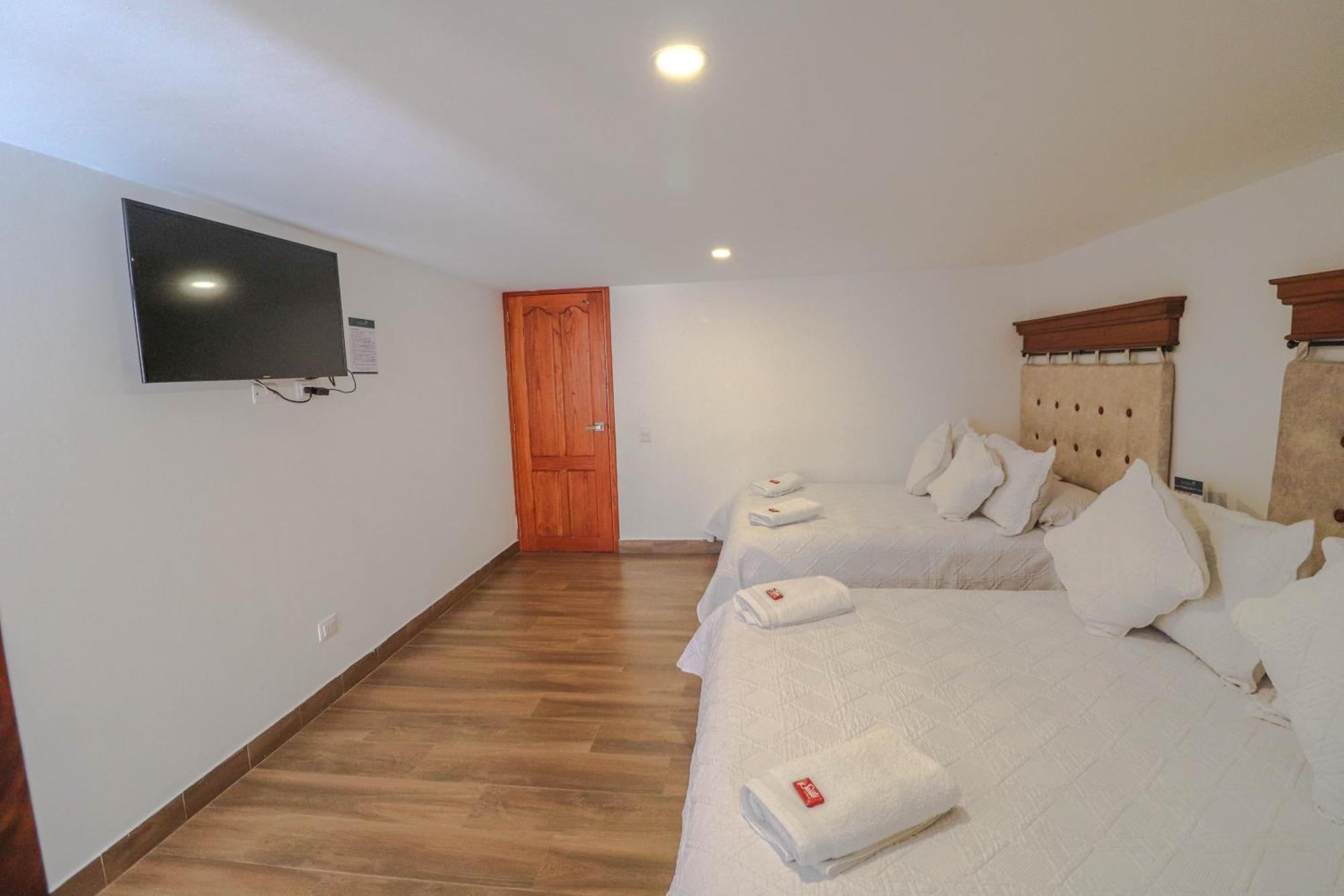Palmas Villa de Leyva