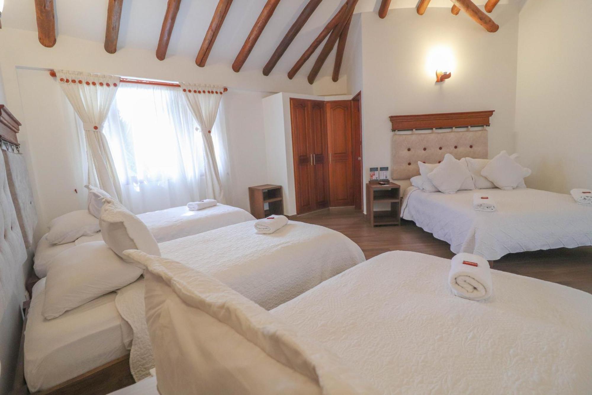 Palmas Villa de Leyva