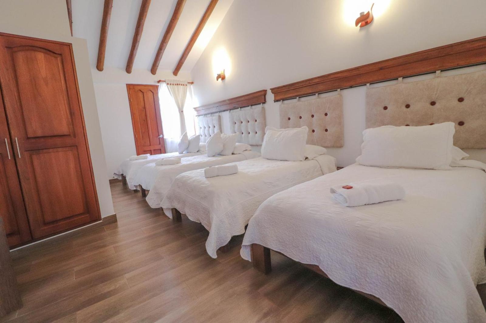 Palmas Villa de Leyva